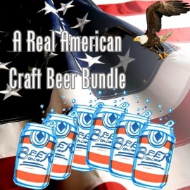 A Real American Beer Bundle - Craft Beers Delivered